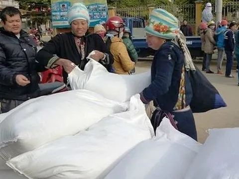 Hỗ trợ gạo cho tỉnh Tuyên Quang dịp Tết Nguyên đán Ất Tỵ