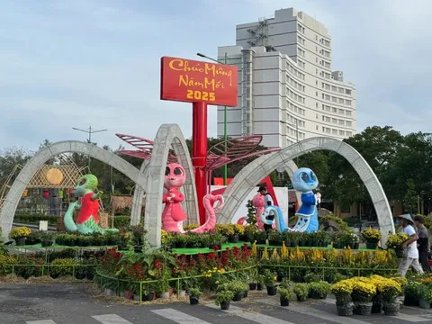 Chiêm ngưỡng đường hoa Xuân với kinh phí hàng tỷ đồng ở Bình Thuận