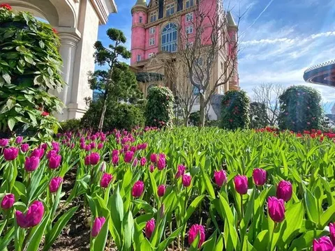 Sun World Ba Na Hills hứa hẹn hút khách dịp Tết Ất Tỵ với lễ hội hoa 2025