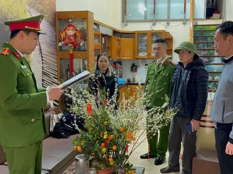 Bắt giữ 7 đối tượng thu tiền "bảo kê" bán đào Tết