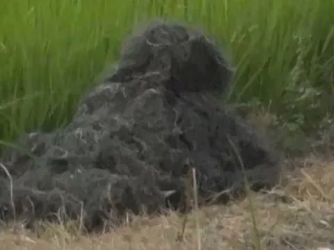 Cảnh sát dùng "chiêu độc" để truy bắt tội phạm gây sốt mạng xã hội