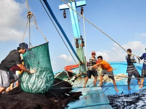 Hướng tới xây dựng ngành thủy sản bền vững