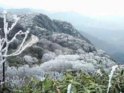 Miền Bắc rét đậm, vùng núi cao có nơi dưới 3 độ C