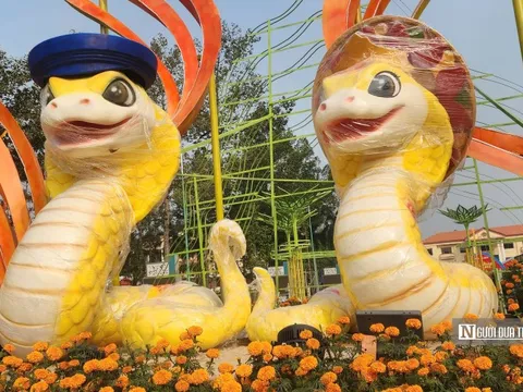 Chiêm ngưỡng những linh vật rắn độc đáo tại Bình Phước