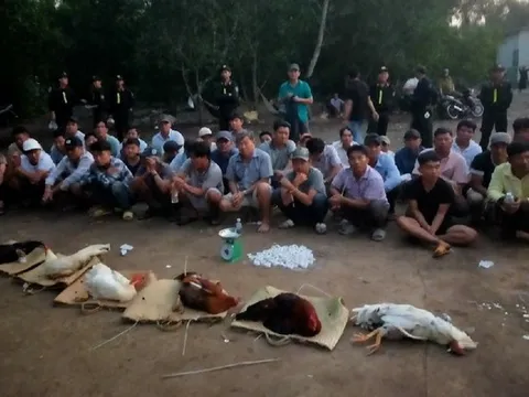 Triệt phá tụ điểm đá gà quy mô lớn tại Tiền Giang