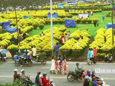 Ngập tràn cảnh sắc trên lối về những miền hoa Bình Định ngày Xuân