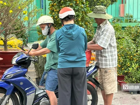 Tp.HCM: Xả hoa, cây cảnh để kịp về quê đón Tết