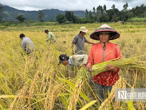 Gặp gỡ những “người hùng” hồi sinh vùng đất khó