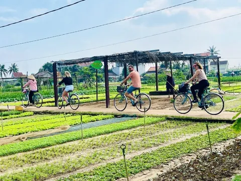 Làng nông nghiệp 'hút' khách quốc tế