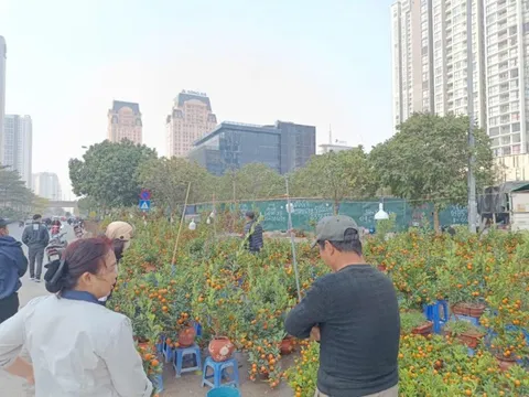 Thời tiết ngày 28/1:Thủ đô Hà Nội nhiều mây, không mưa