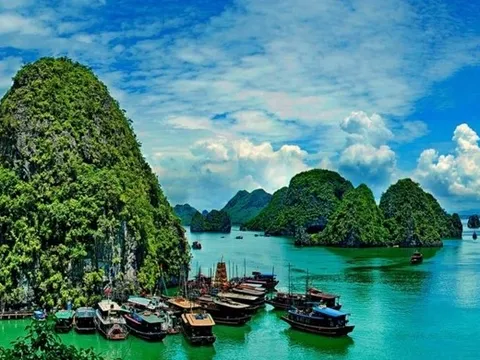 Bảo vệ và quản lý Di sản văn hóa và thiên nhiên thế giới ở Việt Nam