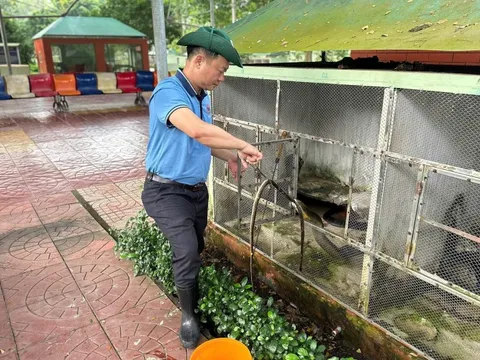 Những người lính dũng cảm ở “Bệnh viện rắn” độc nhất Đông Nam Á