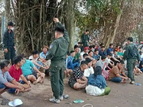 Tây Ninh: Triệt phá sòng bạc đá gà quy mô lớn, thu giữ gần 500 triệu đồng