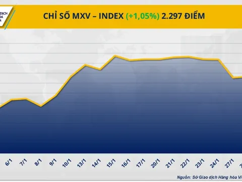 Giá cà phê phá vỡ kỷ lục lịch sử, giá ngô lên mức cao nhất trong hai tháng