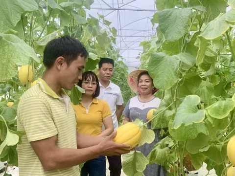 Những “nữ tướng” dám làm việc khó được dân tin yêu