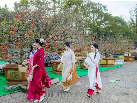 Thời tiết ngày 29/1 (mùng 1 Tết): Thuận lợi để du Xuân, chúc Tết