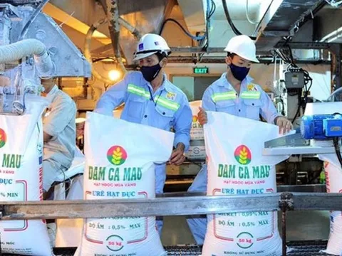 Quý IV/2024 giảm sâu, Đạm Cà Mau vẫn vượt kế hoạch kinh doanh cả năm