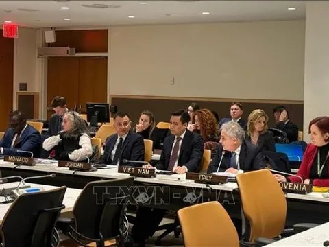 Lần đầu tiên Việt Nam được bổ nhiệm đồng điều phối chuẩn bị một hội nghị lớn của Liên hợp quốc