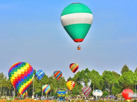 Khinh khí cầu rực rỡ trên bầu trời Đồng Nai