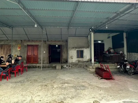 Điều tra vụ người đàn ông đấm "vợ hờ" tử vong vì để rượu cúng ngoài bờ rào