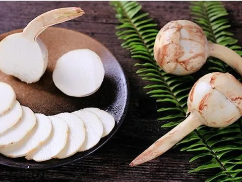 Đừng chỉ ăn lá, củ loại cây này quý như "nhân sâm người nghèo", mọc đầy đầm lầy