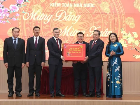 Chủ tịch Quốc hội Trần Thanh Mẫn giao nhiệm vụ cho ngành kiểm toán dịp đầu năm