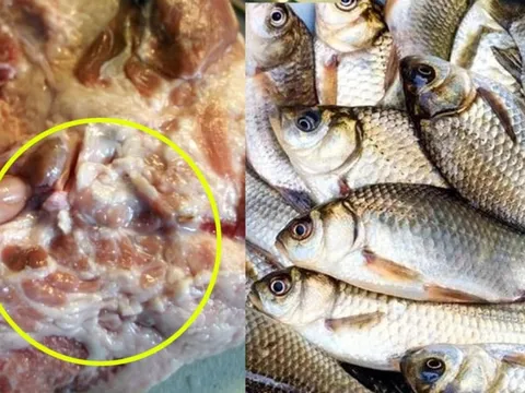 Vì sao có câu nói "thịt lợn không mua thịt cổ, mua cá không mua cá diếc"?