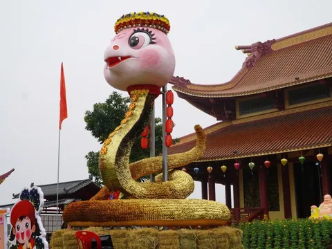 Hàng nghìn người kéo về chiêm ngưỡng linh vật rắn mặc "áo giáp vàng"