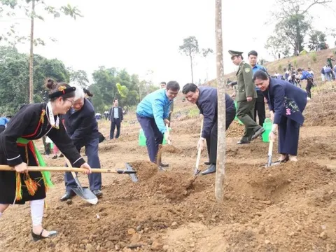Trung ương Đoàn phát động Tết trồng cây và thi đua chào mừng Đại hội lần thứ XIV của Đảng