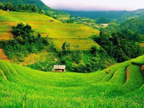 Những hành vi bị nghiêm cấm trong lĩnh vực đất đai, ai cũng nên biết