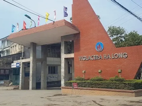 Đầu tư kém hiệu quả góp phần khiến Viglacera Hạ Long chìm trong thua lỗ