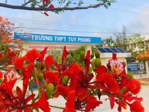 Xác minh vụ thầy giáo cấp 3 bị tố làm nữ sinh mang thai