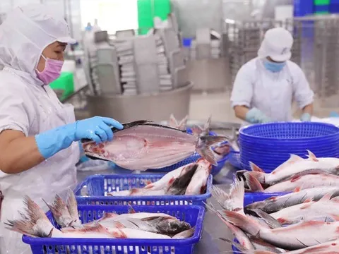 Bứt phá quý cuối năm, Vĩnh Hoàn báo lãi cao nhất 6 quý