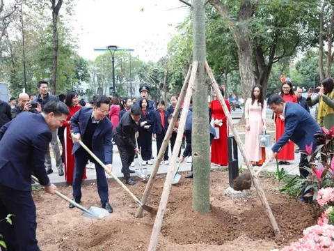 Quận Hoàn Kiếm: Phát động “Tết trồng cây đời đời nhớ ơn Bác Hồ” nhân dịp Xuân Ất Tỵ năm 2025
