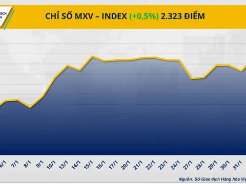 Chỉ số MXV-Index lên mức cao nhất trong vòng 7 tháng