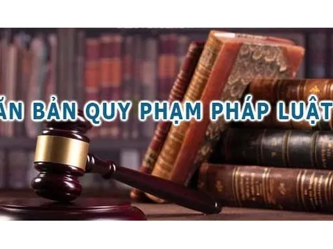 Người đứng đầu phải chịu trách nhiệm nếu đề xuất, ban hành văn bản trái pháp luật