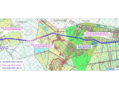 Thủ tướng Chính phủ phê duyệt chủ trương đầu tư dự án truyền tải điện hơn 650 tỷ đồng
