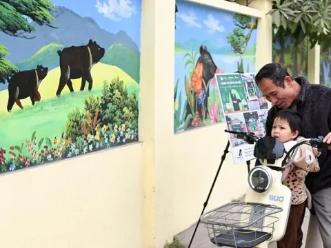 Độc đáo công trình bích hoạ bảo vệ gấu tại huyện Phúc Thọ, Hà Nội