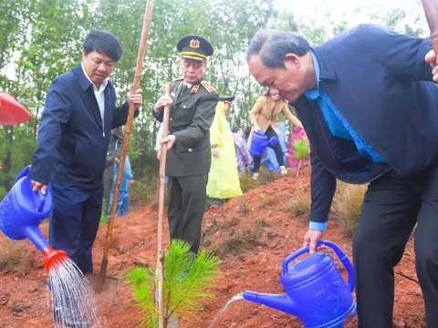 Miền Trung ra quân 'Tết trồng cây đời đời nhớ ơn Bác Hồ'