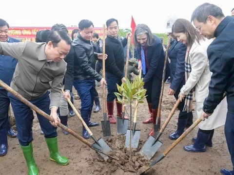 Bộ Tài nguyên và Môi trường phát động chương trình Tết trồng cây
