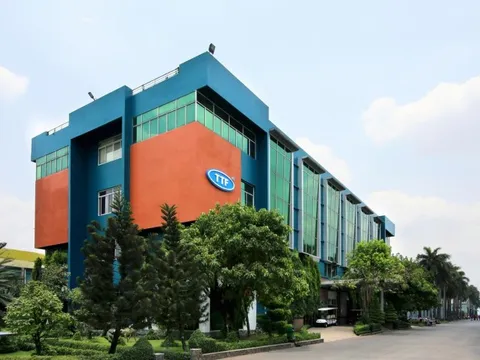 Gỗ Trường Thành thoát lỗ nhờ chứng khoán
