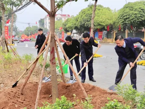 Huyện Sóc Sơn và huyện Ba Vì: Thực hiện chương trình “Trồng một tỷ cây xanh”