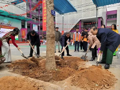 Quận Ba Đình dự kiến trồng mới 300 cây xanh năm 2025