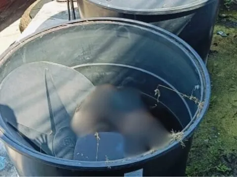 Ngửi thấy mùi hôi trong bồn nước, nam công nhân phát hiện cảnh đáng sợ