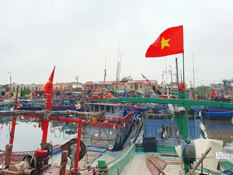 Nghề "cha truyền con nối" ở Hải Phòng có nguy cơ mai một