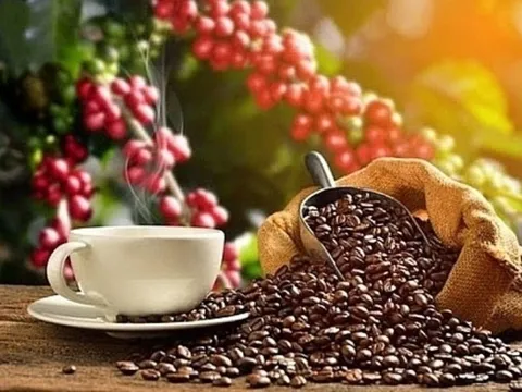 Cà phê kéo dài chuỗi tăng giá lịch sử, dầu thô tiếp đà suy yếu