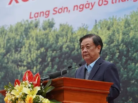 Trồng cây cho tương lai