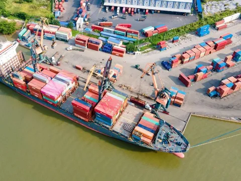 Doanh thu năm 2024 của Vosco cao kỷ lục