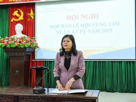 Sẽ bắn pháo hoa tầm thấp tại lễ hội Lim năm 2025