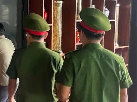 Quảng Nam: Bắt giam đối tượng trốn thuế liên quan đến gỗ keo trị giá hơn 1.300 tỷ đồng